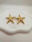 Sunkissed Stars earrings
