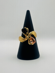 Anima ring